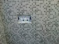 /album/galleria-foto-bagni2/nnnn-047-jpg/